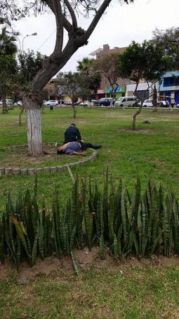 14517359_10210033063281289_7722572432671904073_n