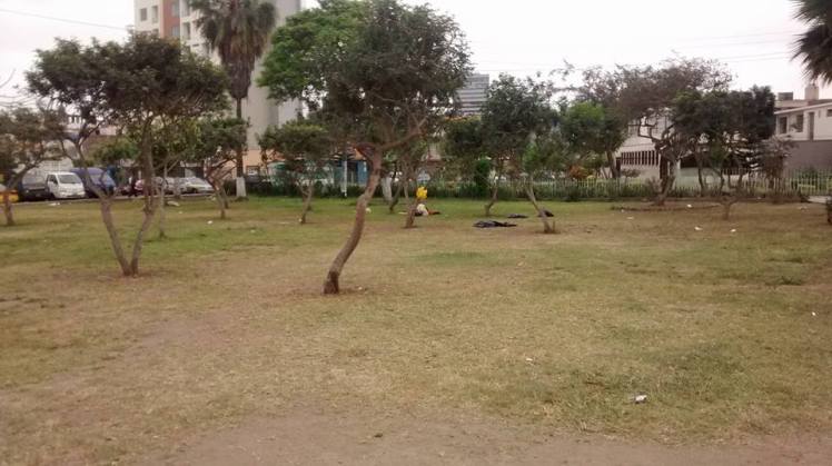 14925691_10153876371965919_134255642594489920_n