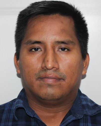 Alex Alin Quispe Erique