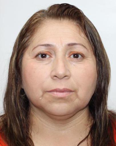 Ana Leslie Guzman Vivanco