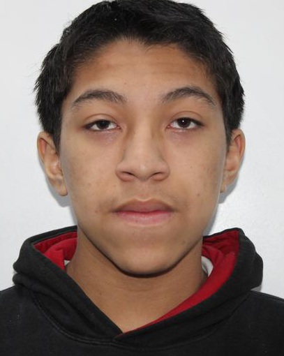 Miguel Jefferson Foppiano Wong
