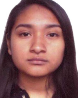 Nicolle Mercedes Pineda Vilcatoma
